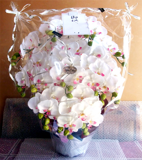 光触媒 造花 胡蝶蘭アレンジ特大サイズ陶器仕様F(12本立ち・ホワイトビューティー・仏仕様)