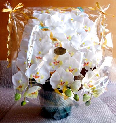 光触媒 造花 胡蝶蘭アレンジ陶器仕様C(3本立ち・ホワイトイエロー)のラッピング