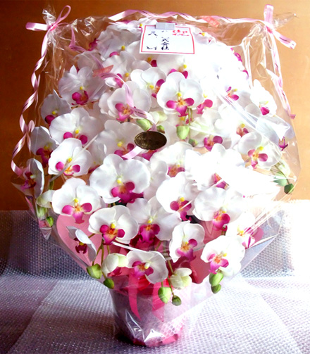 光触媒 造花 胡蝶蘭アレンジ特大サイズ陶器仕様C(7本立ち・ホワイトビューティー)