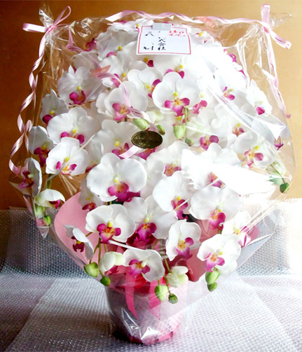 光触媒 造花 胡蝶蘭アレンジ特大サイズ陶器仕様C(7本立ち・ホワイトビューティー)