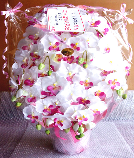光触媒 造花 胡蝶蘭アレンジ特大サイズ陶器仕様C(7本立ち・ホワイトビューティー)のラッピング