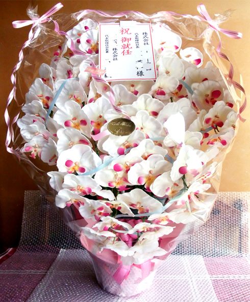 光触媒 造花 胡蝶蘭アレンジ超特大サイズ陶器仕様D(9本立ち・ホワイトビューティー)