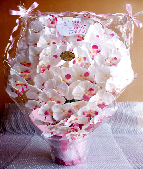 光触媒 造花 胡蝶蘭アレンジ超特大サイズ陶器仕様D(9本立ち・ホワイトビューティー)