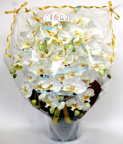 光触媒 造花 胡蝶蘭アレンジ特大サイズ陶器仕様C(7本立ち・ホワイトイエロー)