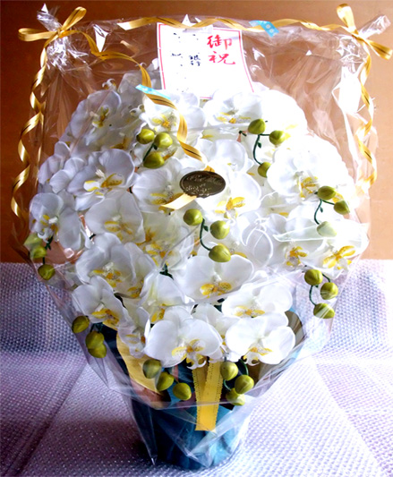 光触媒 造花 胡蝶蘭アレンジ特大サイズ陶器仕様F(9本立ち・ホワイトイエロー)