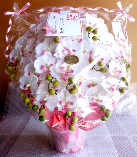 光触媒 造花 胡蝶蘭アレンジ特大サイズ陶器仕様F(12本立ち・ホワイトビューティー)