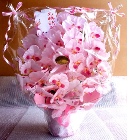 光触媒 造花 胡蝶蘭アレンジ特大サイズ陶器仕様D(5本立ち・ピンクラベンダー)