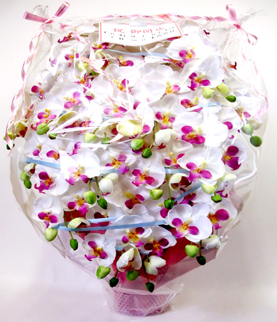 触媒 胡蝶蘭アレンジ超特大サイズ陶器仕様C(15本立ち・ホワイトビューティー)のラッピング